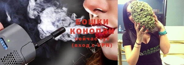 ешки Алексин