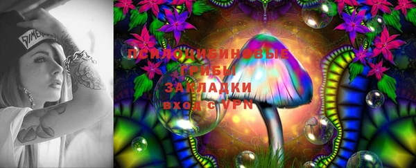 ешки Алексин