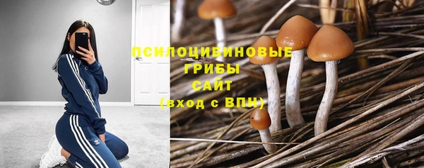 ешки Алексин