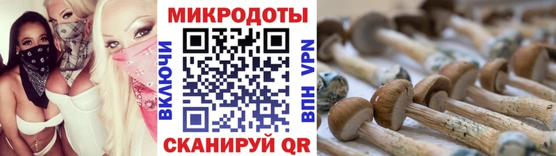 Галлюциногенные грибы GOLDEN TEACHER  shop телеграм  Алзамай 